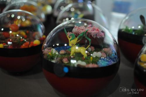 Echos des Nagas 2023