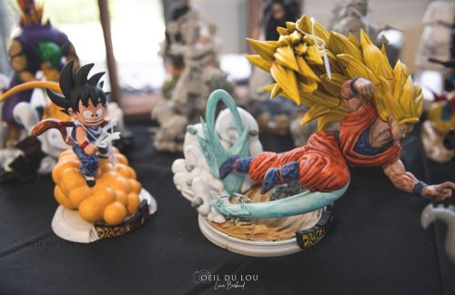 Echos des Nagas